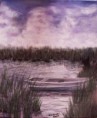 Swamps in Georgia